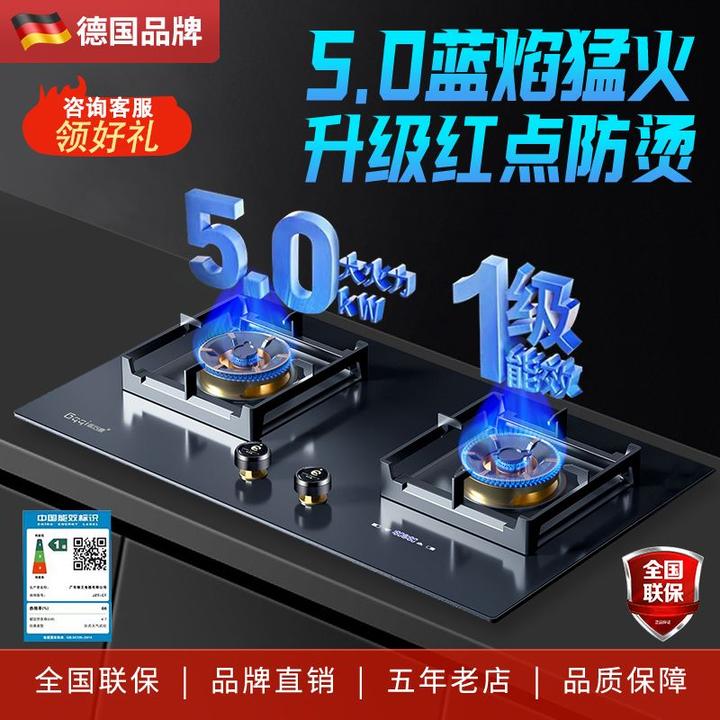 德国品牌燃气灶具带定时功能双灶猛火灶家用蓝焰台嵌两用天然气灶