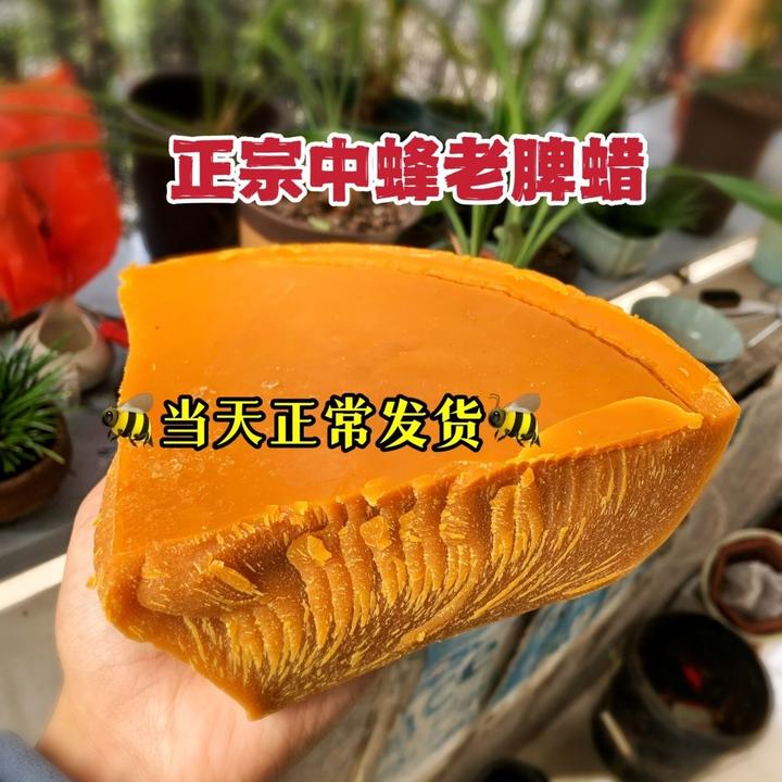 【诱蜂专用蜂蜡养蜂蜜蜂】诱蜂蜡纯正诱中蜂蜡老巢脾蜂蜡土蜂蜡