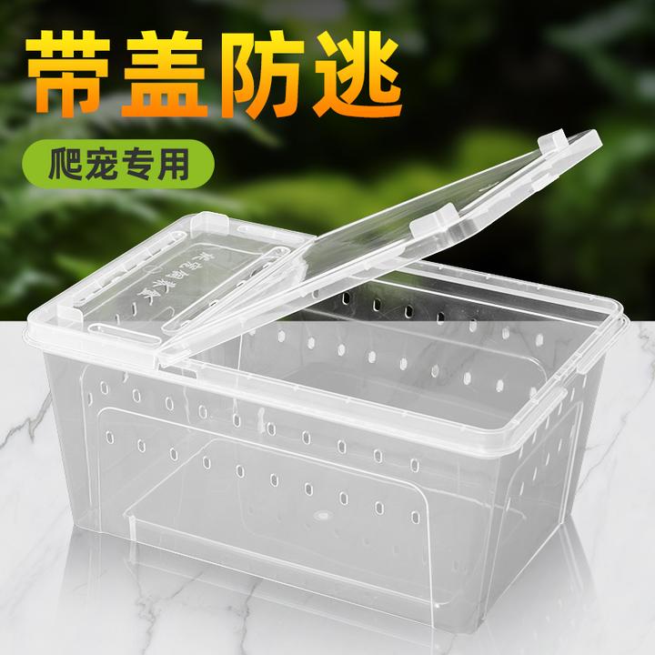 乌龟缸爬虫饲养盒蜘蛛角蛙蜗牛仓鼠守宫爬宠箱乌龟缸寄居蟹饲养缸