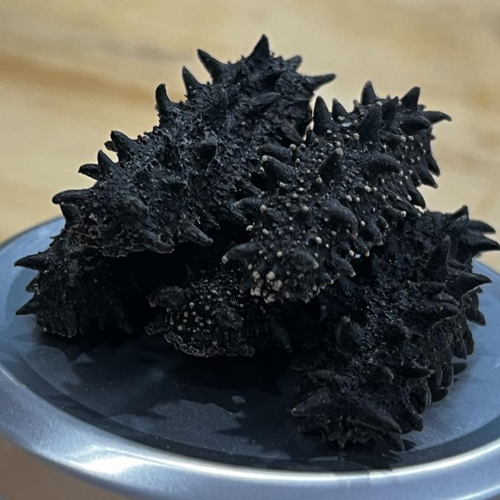 俄罗斯海参进口淡干原货六排刺红参500g无添加礼盒装干货水产