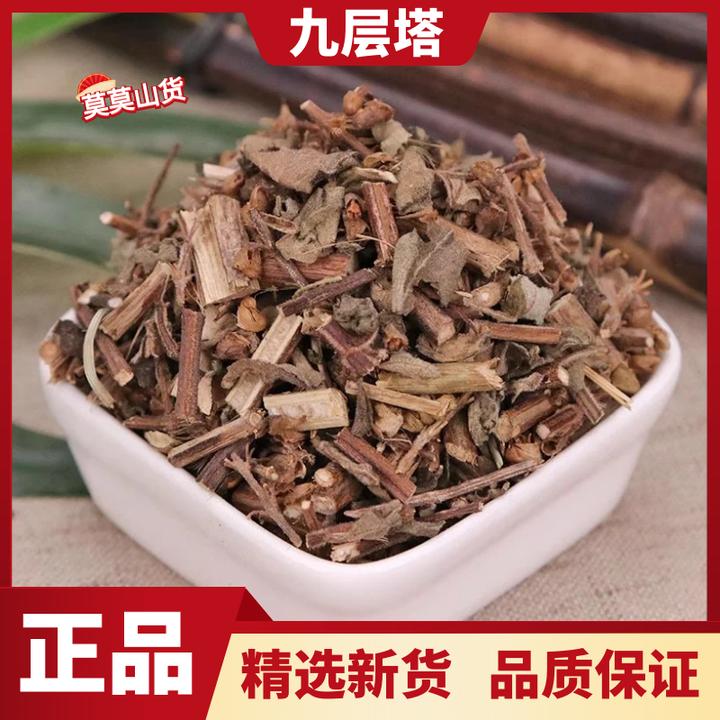 正品九层塔野生新货兰香草叶金不换罗勒草新鲜干货泡水泡茶叶菜