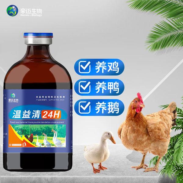 豪迈温益清鸡鸭鹅家禽养殖通用液体饲料添加剂可兑水可拌料