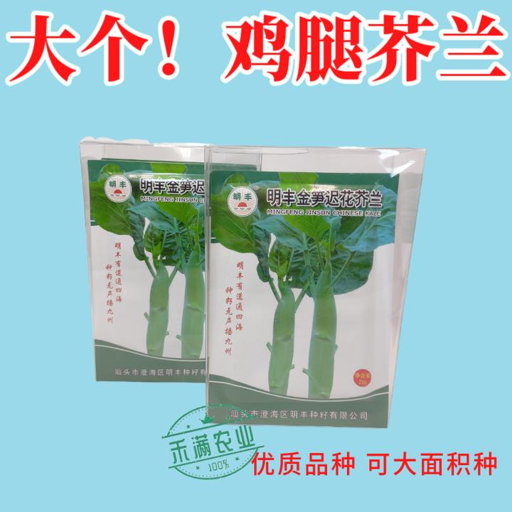 鸡腿芥兰种子大个头芥兰种籽水果蔬菜优质高产秋季种植抗病高产籽
