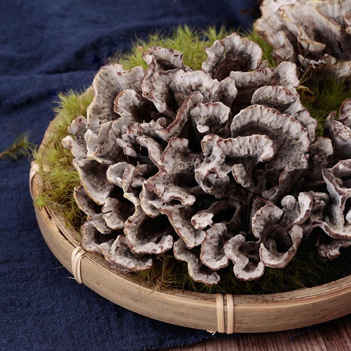 【干巴菌】精选云南新鲜干巴菌马牙菌250g  炒饭 应季推荐