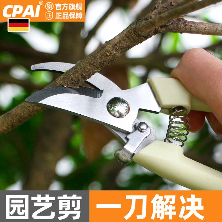 CPAI剪刀剪园林果树剪枝嫁接强力家用省力修剪树枝花卉农村剪子