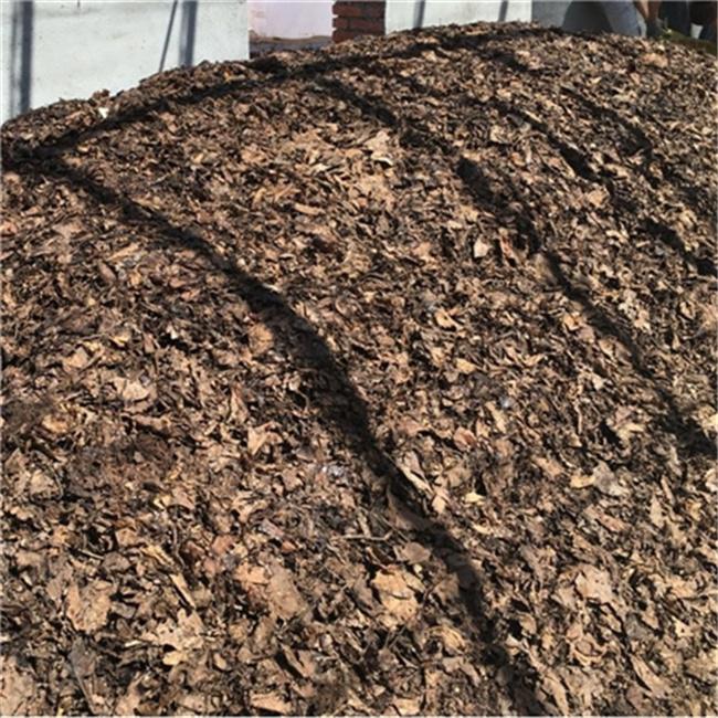 长春君子兰专用土橡树叶土腐叶土植物腐熟春季精品庭院秋季美观