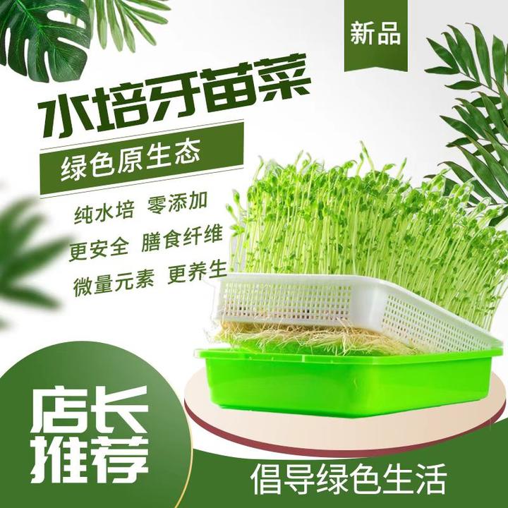 育苗盆无土栽培盘水培盆发芽生豆芽盆