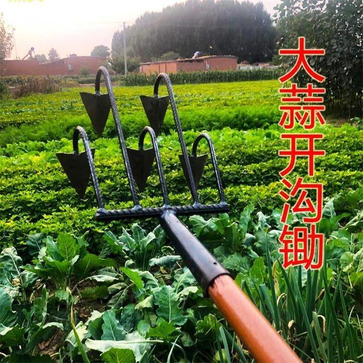 农用种花开沟锄镐三齿五齿耙锄种蒜香菜锄头播种全钢开荒松土农具