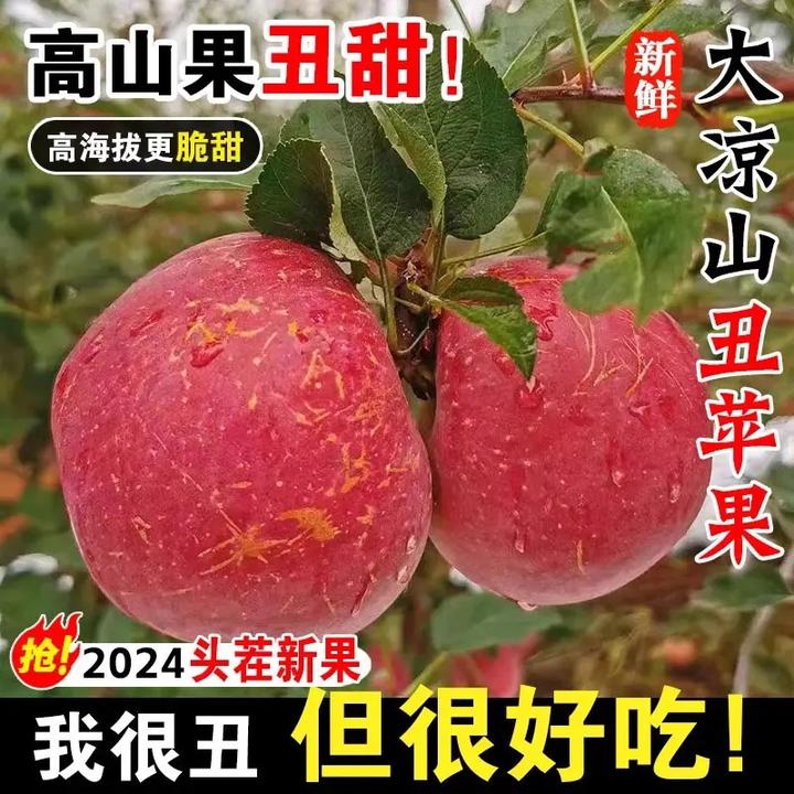 四川大凉山丑苹果2024年时令新鲜水果盐源红富士脆甜冰糖心丑苹果