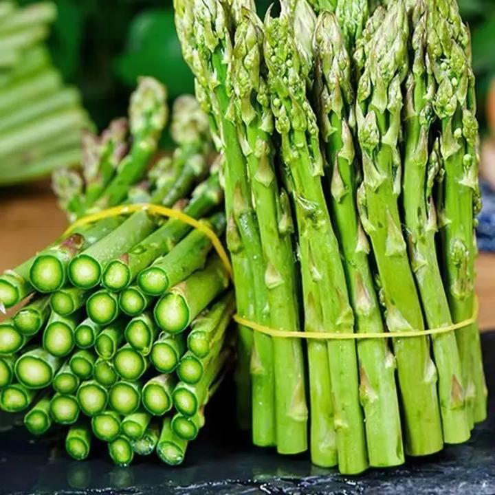 四季可种芦笋种子四季种植蔬菜绿芦笋种籽营养蔬菜种子