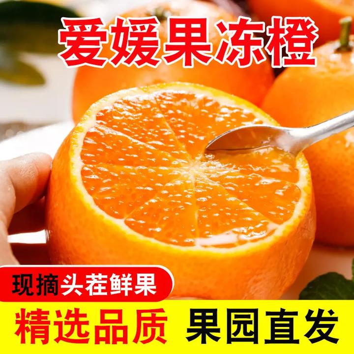四川眉山爱媛38号果冻橙手拨橙香甜多汁新鲜应季水果现摘现发当季
