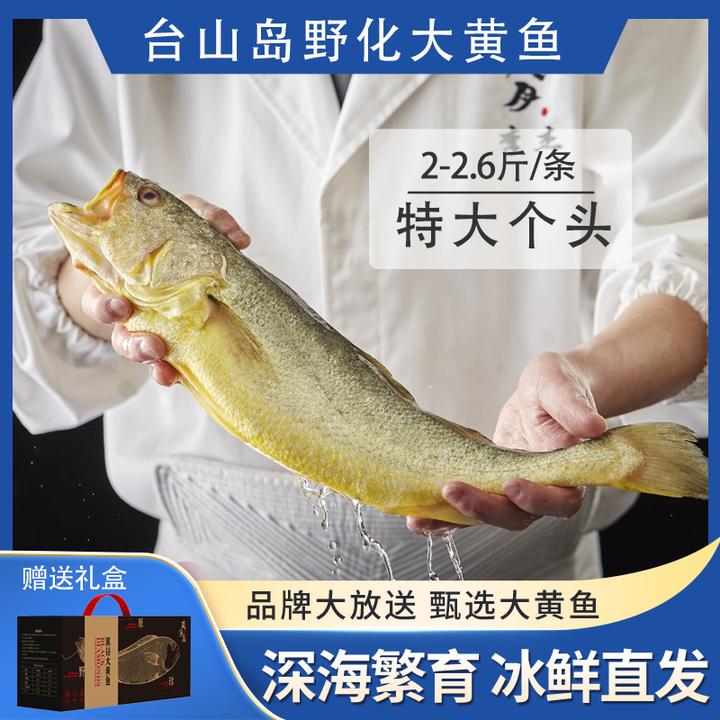 【特大号2.2-2.6斤/只】野化大黄鱼台山岛海捕现捞现发鲜冻黄花鱼