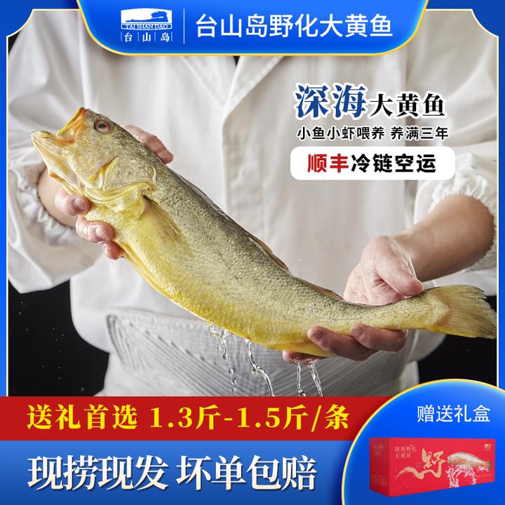【1.3斤-1.5斤/条】新鲜台山岛海捕现捞现发黄花鱼鲜冻海鲜