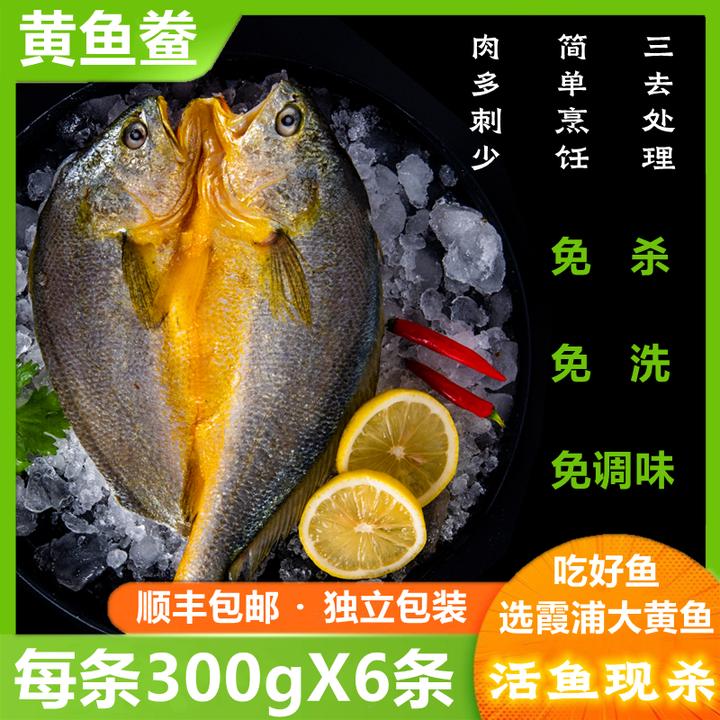 【主播推荐300gX6条】霞浦黄鱼鲞咸香大黄鱼黄花鱼新鲜300g*6条海捕
