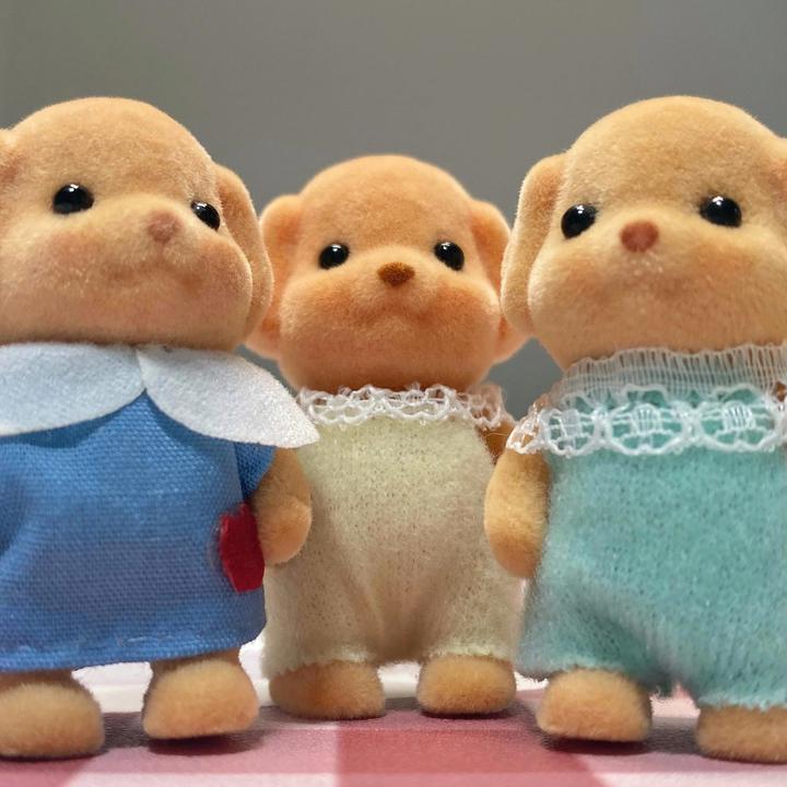 【现货爆款】可爱卡通贵宾犬公仔迷你小鼻嘎玩偶摆件送闺蜜生日礼