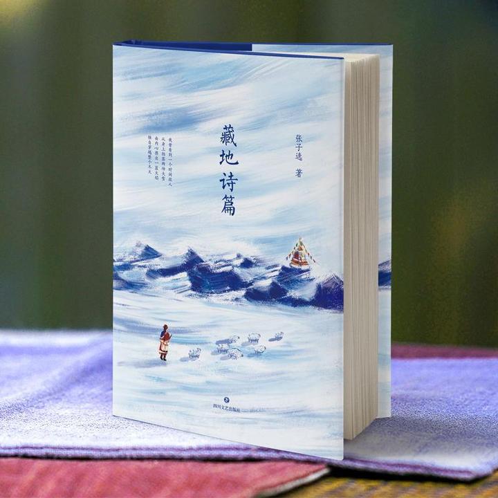 磨铁 藏地诗篇 张子选著大冰推荐 文艺青年大中学生口碑文