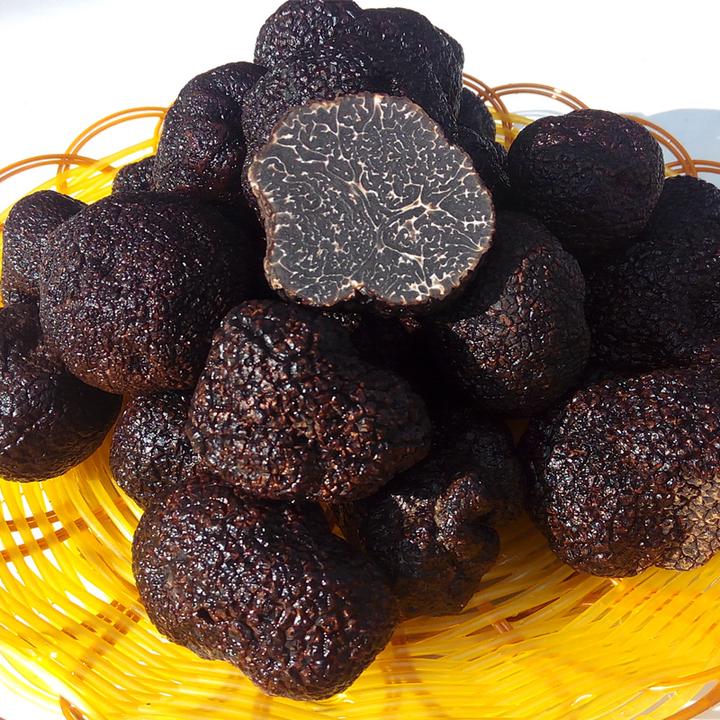 云南新鲜黑松露野生鲜菌菇云南特产松露