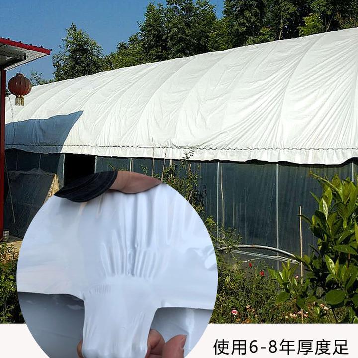 黑白膜养殖大棚塑料布塑料膜大棚膜加厚防晒反光精品耐用品质鸡棚