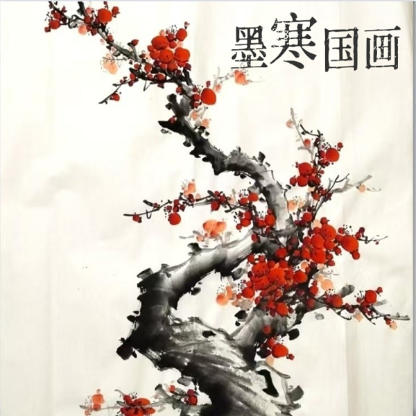 墨寒国画梅花教学线上视频课
