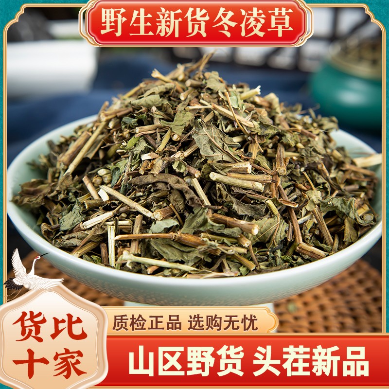 冬凌草野生正品新货山香草雪花草冰凌草干货250-1000克包邮非葛根