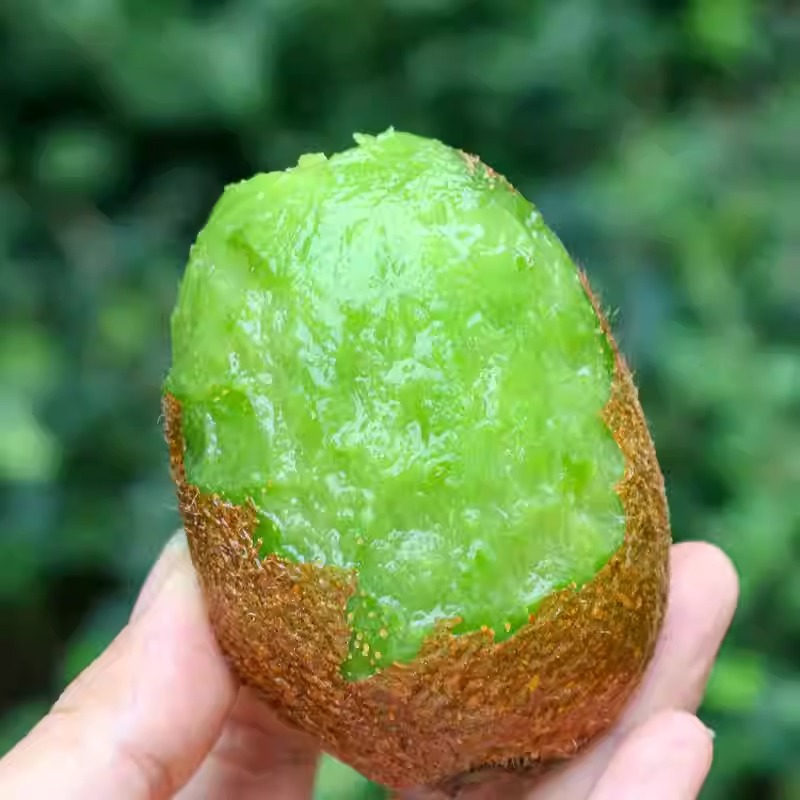 【礼盒装】陕西周至翠香猕猴桃水果新鲜应季水果整箱孕妇奇异果批发