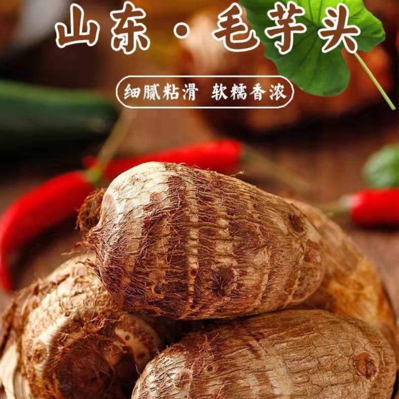 正宗山东牛奶小芋头软糯丝滑农家新鲜芋艿皮薄如纸毛芋头粗粮SSS