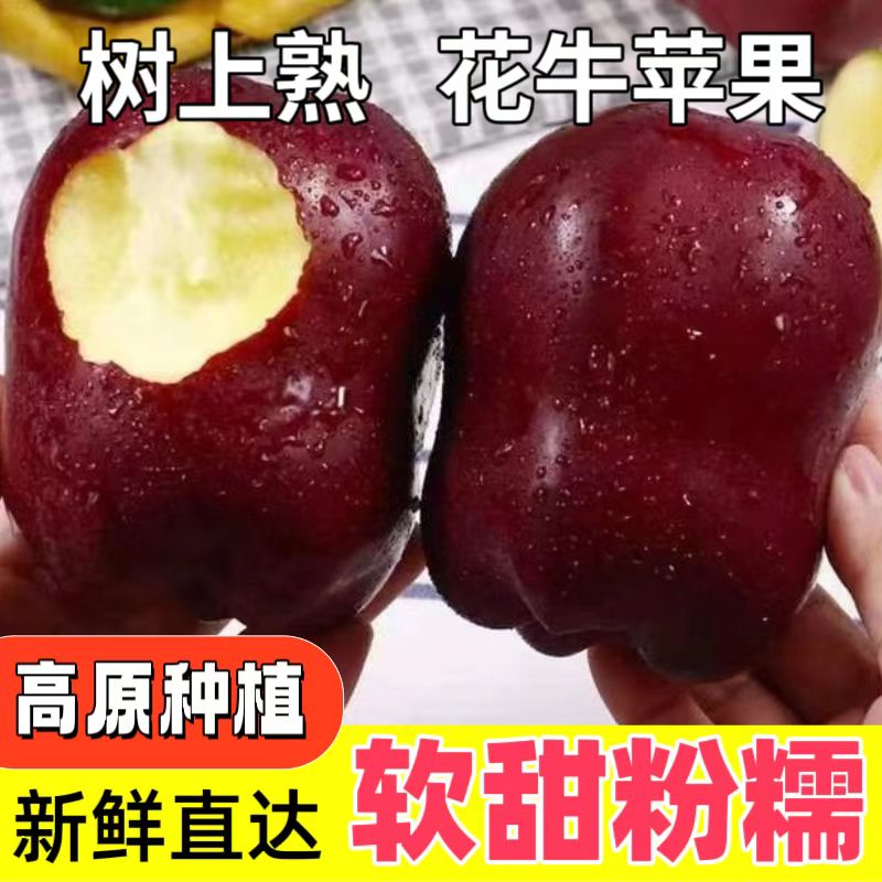 2025年头茬高原花牛苹果 现摘现发 脆甜多汁 软甜粉糯