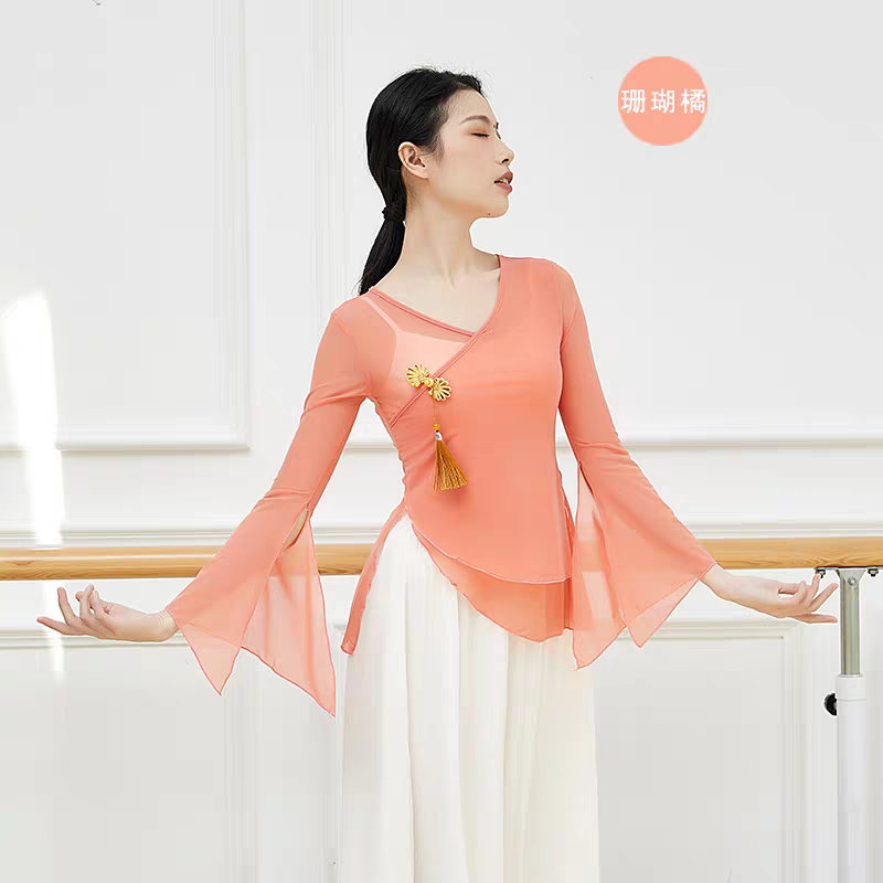 古典舞纱衣身韵新款演出服女飘逸中国风仙女基训练功服舞蹈上衣女