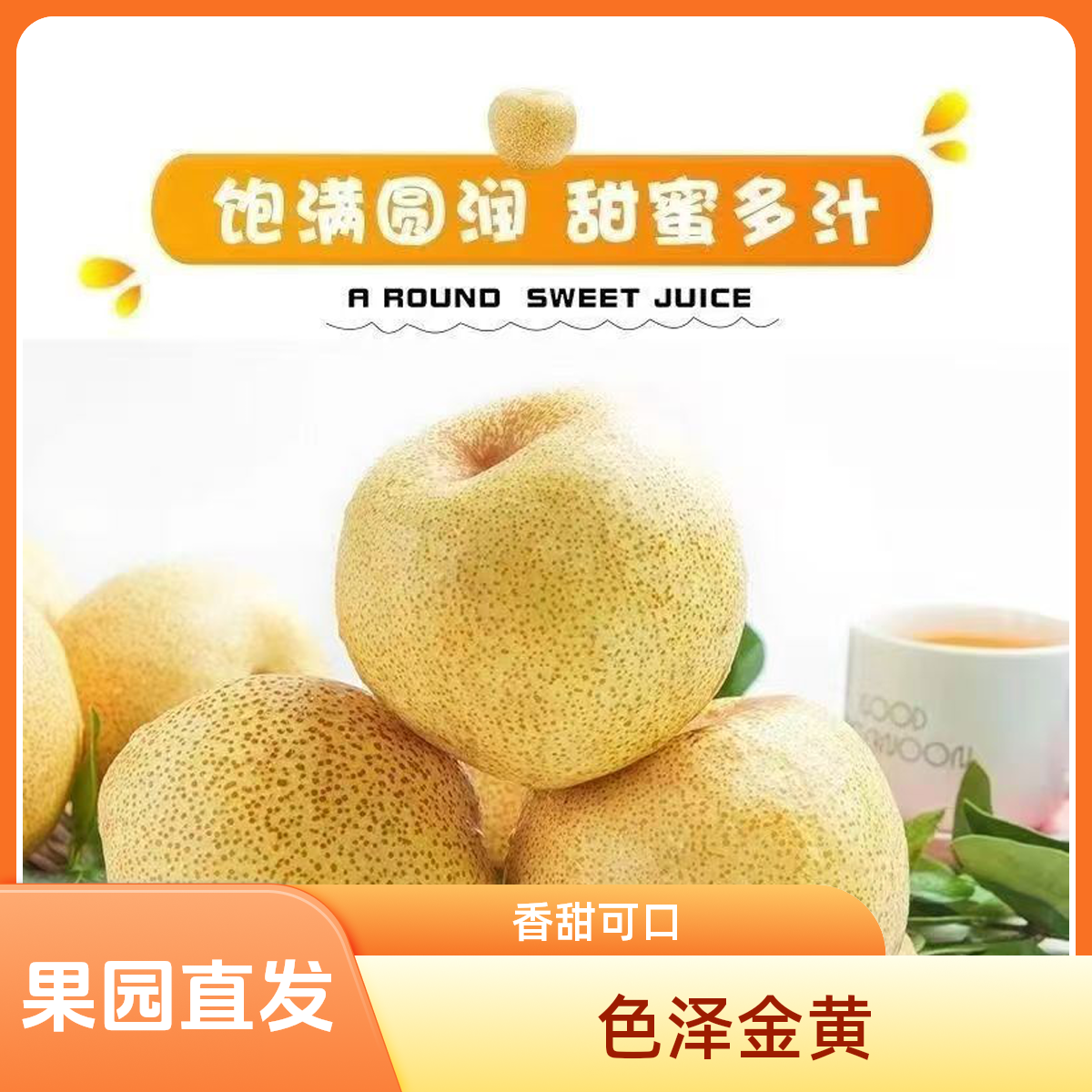 【冰糖雪梨】正宗砀山雪花梨砀山梨酥梨贡梨现摘现发新鲜果园直发