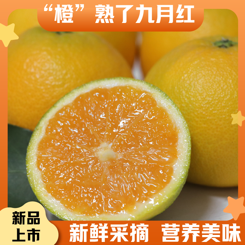 【一哥（船长）甄选】九月红脐橙当季新鲜水果 带箱10斤装