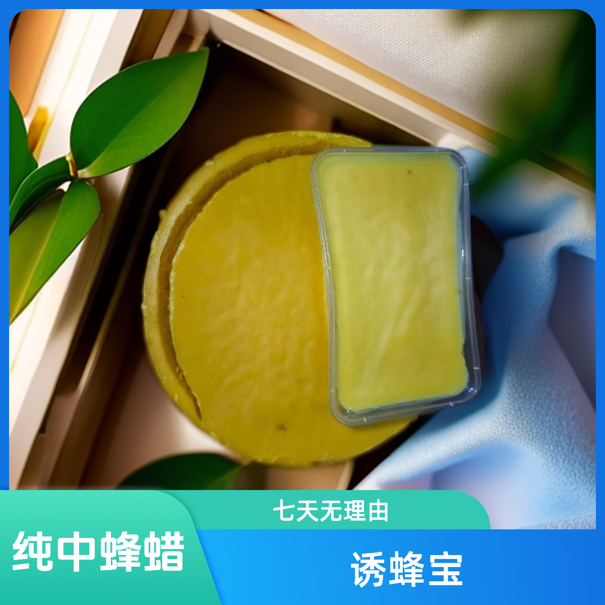 纯中蜂老巢诱蜂蜡