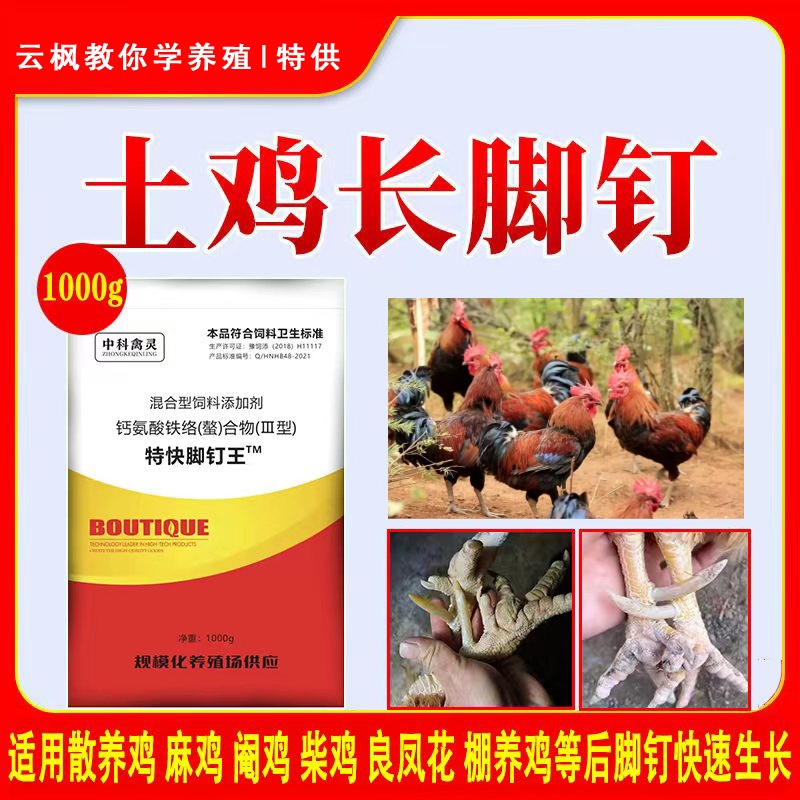 特快脚钉王脚钉土鸡飞爪养殖禽用通用益生素蹬爪王混合型添加剂