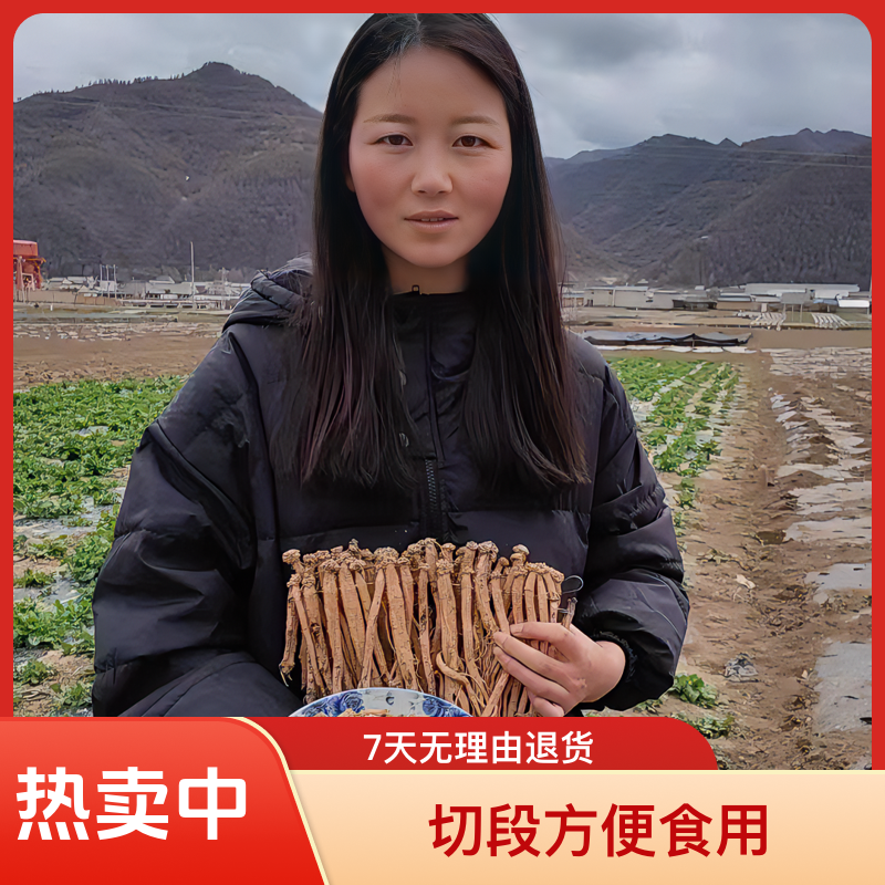 【党参切段】甘肃高原种植党参切丁无硫正品可用于煲汤炖肉滋补泡水