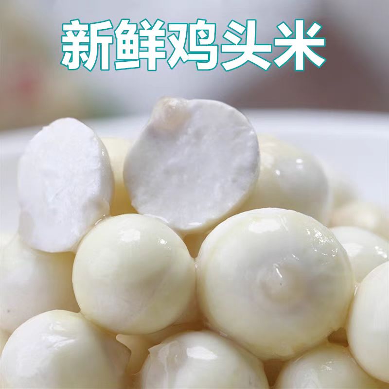 藕品世家多地包邮 新鲜鸡头米 苏芡 扬州宝应芡实 500克时令生鲜