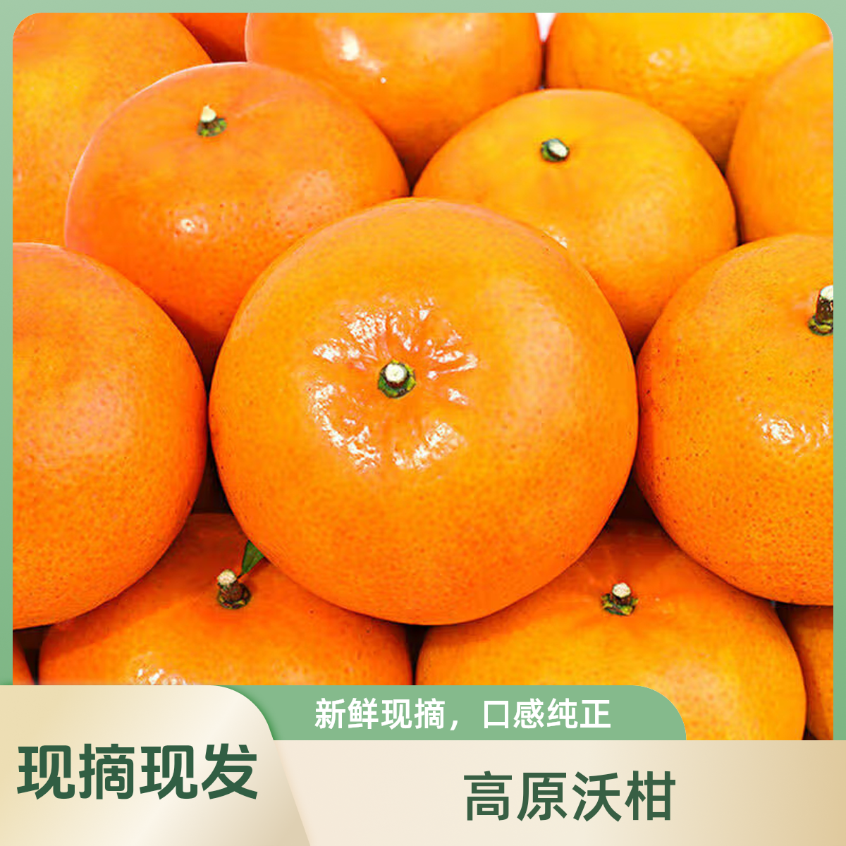 正宗云南沃柑橘子新鲜水果当季现摘现发整箱3斤起