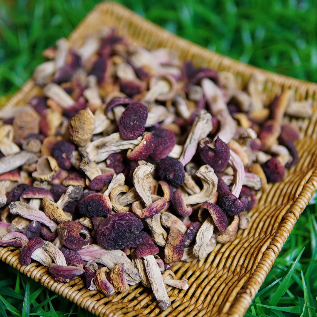 云南小红菇丁250克装炖汤食用菌菇