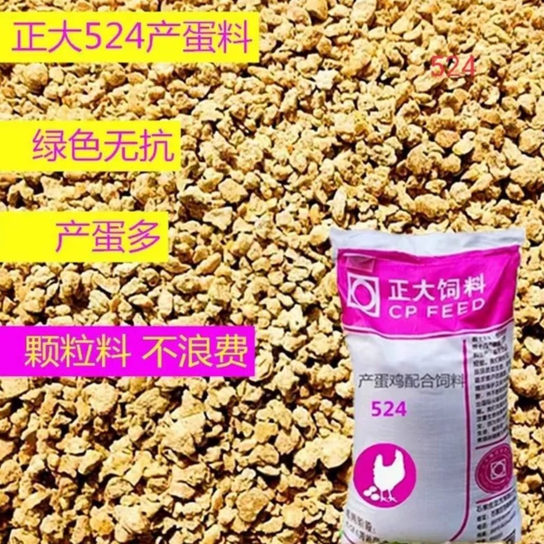 石家庄正大521育雏鸡523蛋中鸡524产蛋鸡颗粒鸡鸭鹅配合颗粒饲料