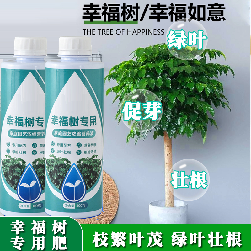 幸福树专用营养液专用肥料防治黄叶掉叶黑斑绿植花卉盆栽营养液