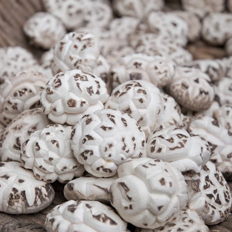 顺丰包邮湖北随州高端出口冬花菇精选天白花菇肉厚浓香送礼500克