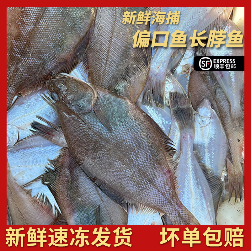 山东威海野生海捕 偏口鱼 长脖鱼 新鲜速冻冷冻比目鱼顺丰净重4斤
