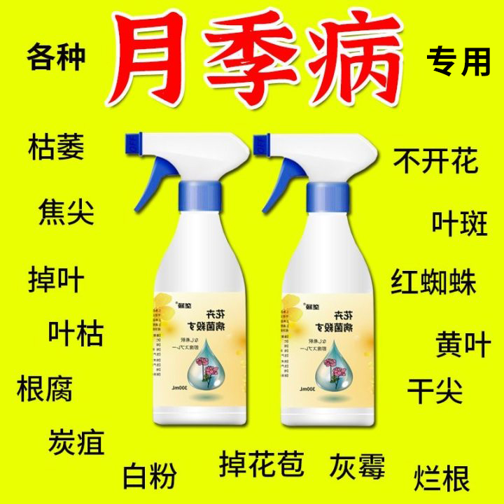 月季花病害专用肥料黑斑病白粉病枯枝病黄叶病锈病掉叶除菌营养液