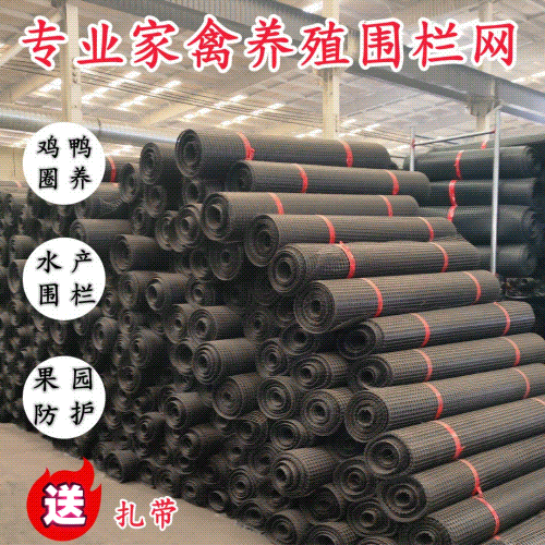 加厚塑料养鸡围栏网养鸭养殖网防护隔离网玉米网栅栏网果园圈地