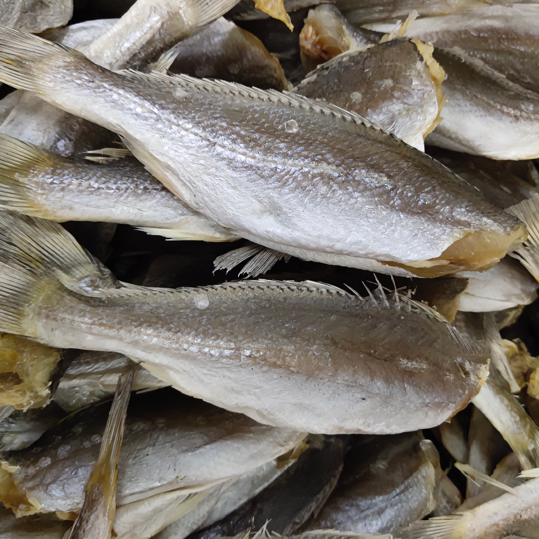 珠海三牙或鱼去头鱼干淡晒海味三齿鱼干500g三牙划仔包邮