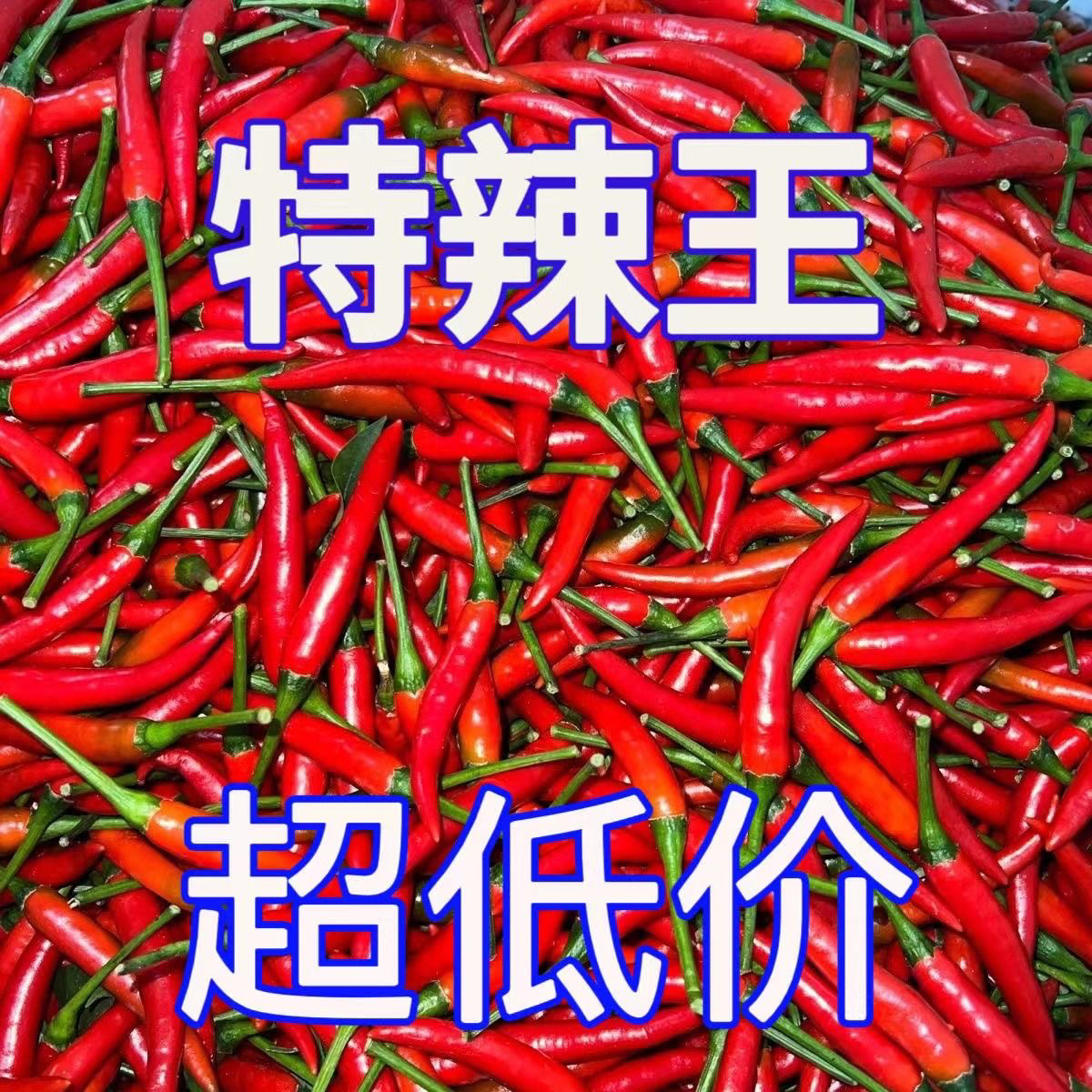 小米辣椒现摘朝天椒特辣新鲜辣鲜椒蔬菜辣椒红辣椒指天椒批发泡椒