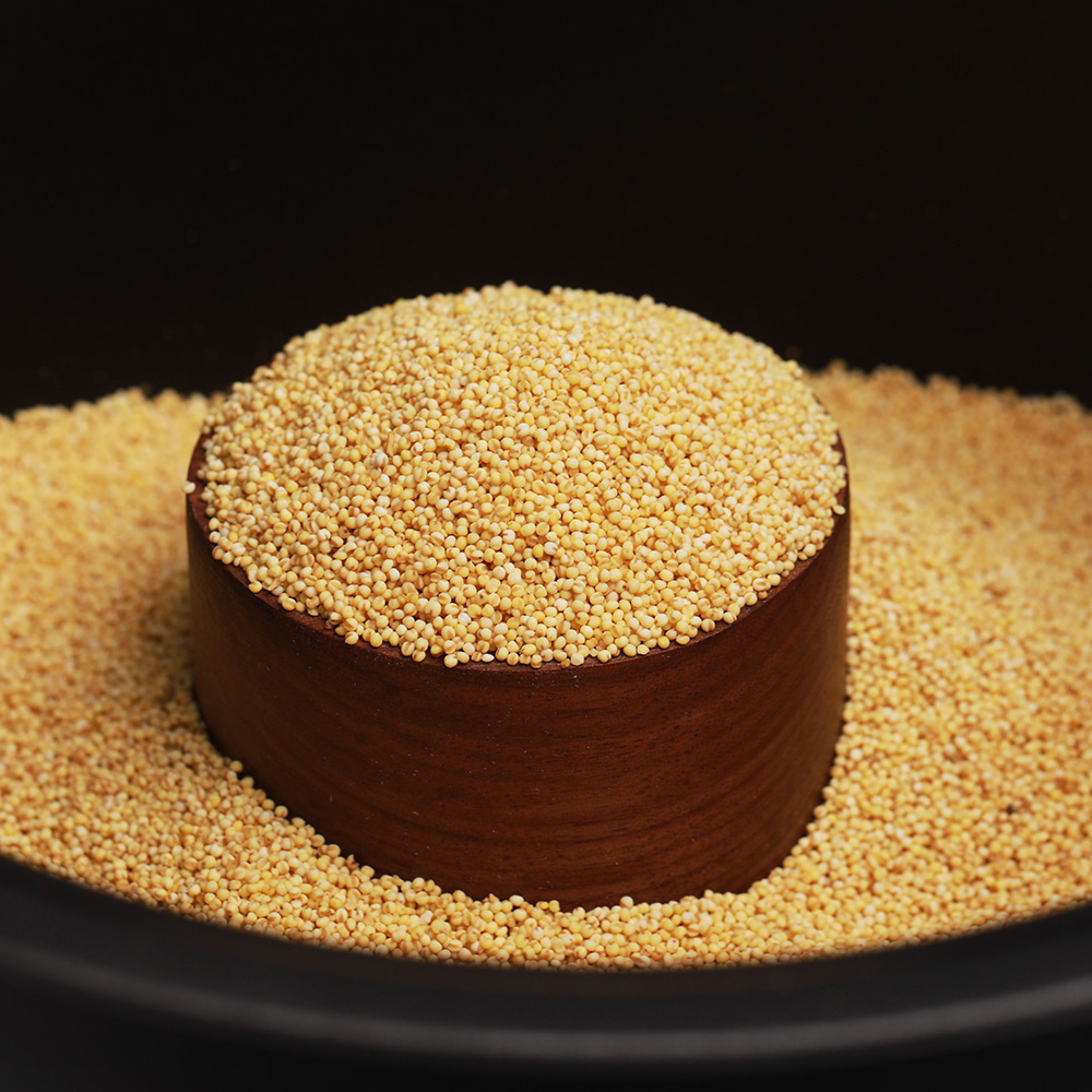 2025年新糯小米贵州高山糯小米老品种黏黄米新米五谷杂粮粗粮