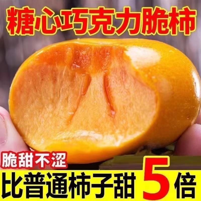 【爆甜脆甜】冰糖心巧克力脆柿新鲜水果脆柿应季脆甜柿冰糖心硬柿子