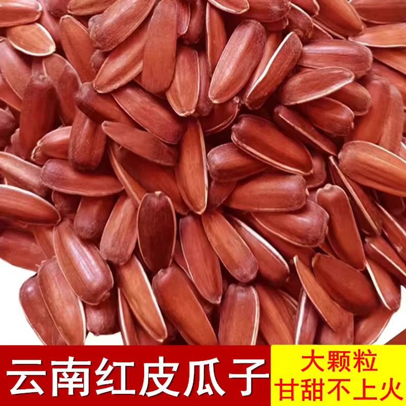 云南特产山地红皮生瓜子熟葵花籽原味水果甜瓜子农家自种坚果零食