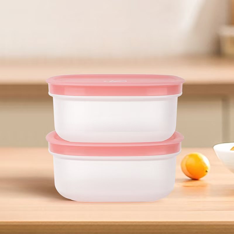 精铸300ml*2冷冻盒葱姜蒜肉丝分装盒冰箱保鲜盒学生便携水果盒