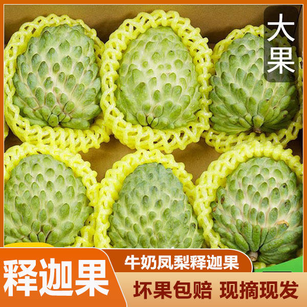 广西南宁农家凤梨释迦果番荔枝新鲜现摘大果热带孕妇水果整箱包邮