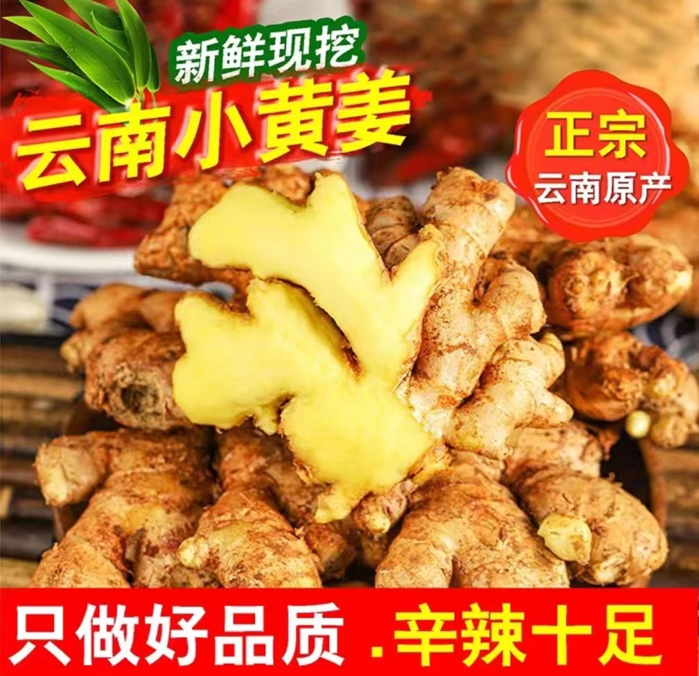 【老姜】云南高山小黄姜1斤3斤5斤9斤现挖现发农户自家种植